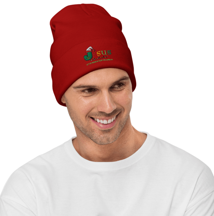 Men/Women Christmas Embroidered Beanie